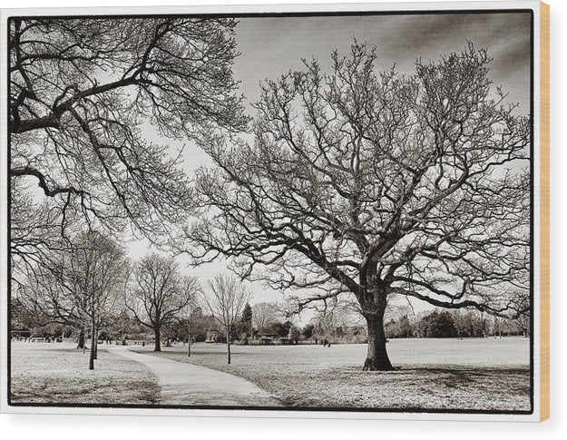 Dulwich Park - Wood Print