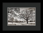 Load image into Gallery viewer, Dulwich Park - Framed Print
