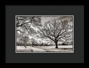 Dulwich Park - Framed Print