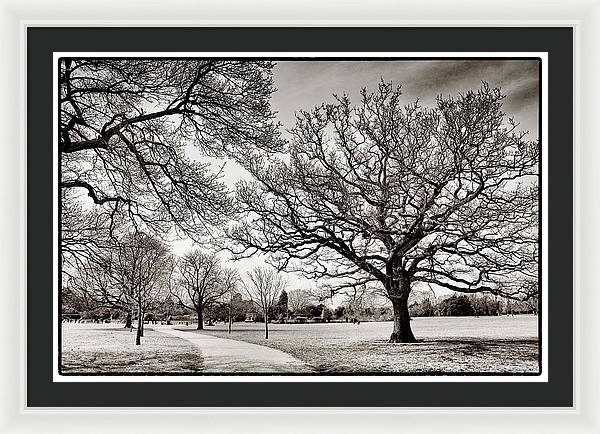 Dulwich Park - Framed Print