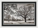 Load image into Gallery viewer, Dulwich Park - Framed Print
