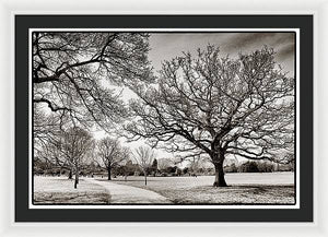 Dulwich Park - Framed Print