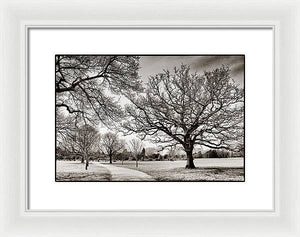 Dulwich Park - Framed Print