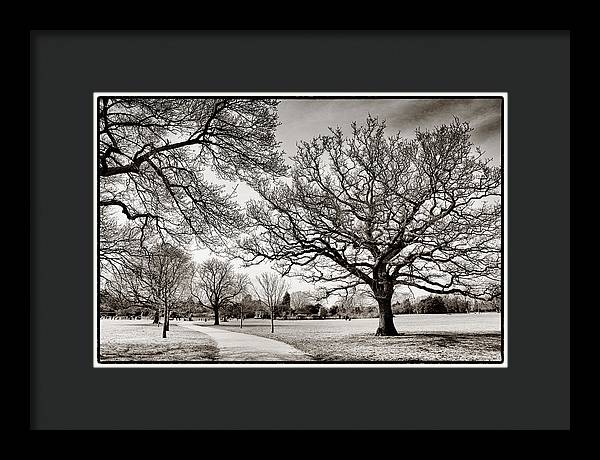 Dulwich Park - Framed Print