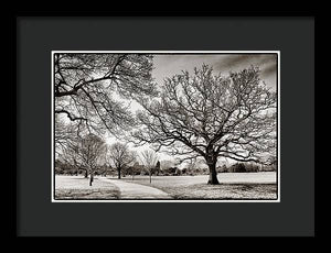 Dulwich Park - Framed Print