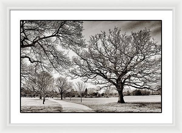 Dulwich Park - Framed Print