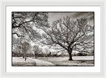 Load image into Gallery viewer, Dulwich Park - Framed Print
