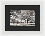 Load image into Gallery viewer, Dulwich Park - Framed Print
