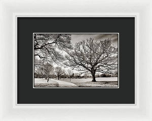 Dulwich Park - Framed Print