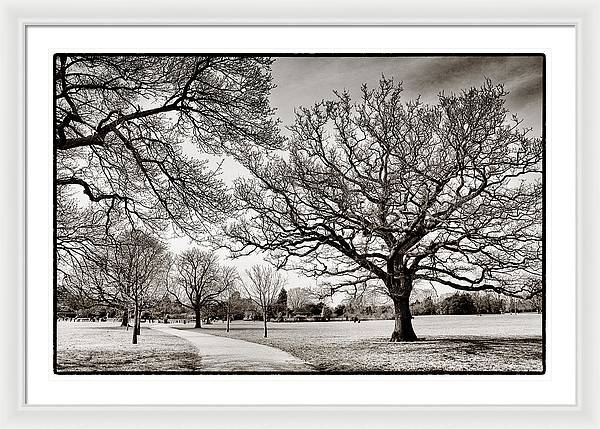 Dulwich Park - Framed Print