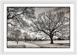 Load image into Gallery viewer, Dulwich Park - Framed Print
