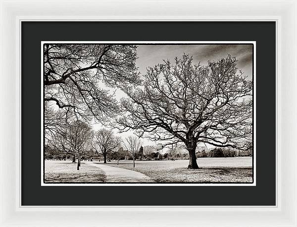 Dulwich Park - Framed Print