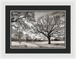 Load image into Gallery viewer, Dulwich Park - Framed Print
