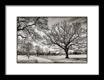 Load image into Gallery viewer, Dulwich Park - Framed Print
