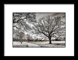 Dulwich Park - Framed Print