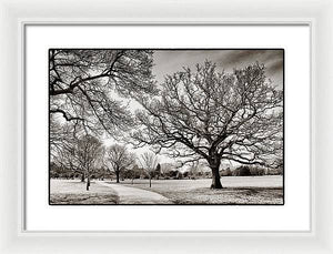 Dulwich Park - Framed Print