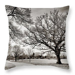 Load image into Gallery viewer, Dulwich Park - Throw Pillow
