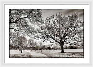 Dulwich Park - Framed Print