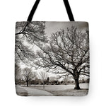 Load image into Gallery viewer, Dulwich Park - Tote Bag
