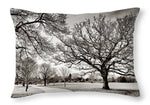 Load image into Gallery viewer, Dulwich Park - Throw Pillow
