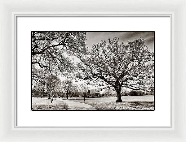 Dulwich Park - Framed Print