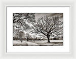 Load image into Gallery viewer, Dulwich Park - Framed Print
