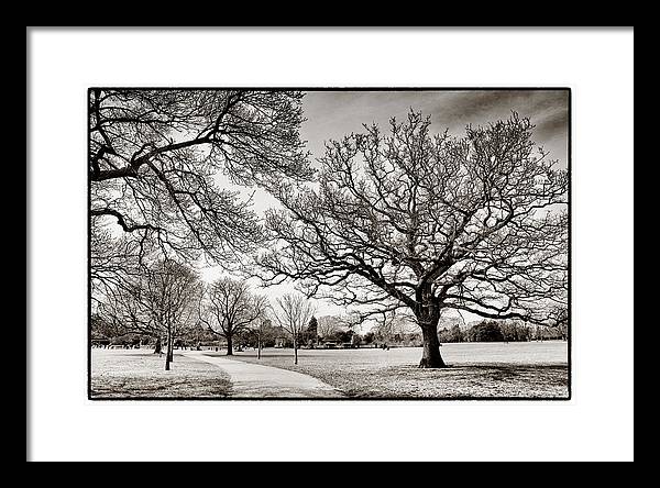 Dulwich Park - Framed Print