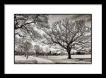 Load image into Gallery viewer, Dulwich Park - Framed Print
