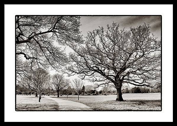 Dulwich Park - Framed Print