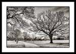 Load image into Gallery viewer, Dulwich Park - Framed Print
