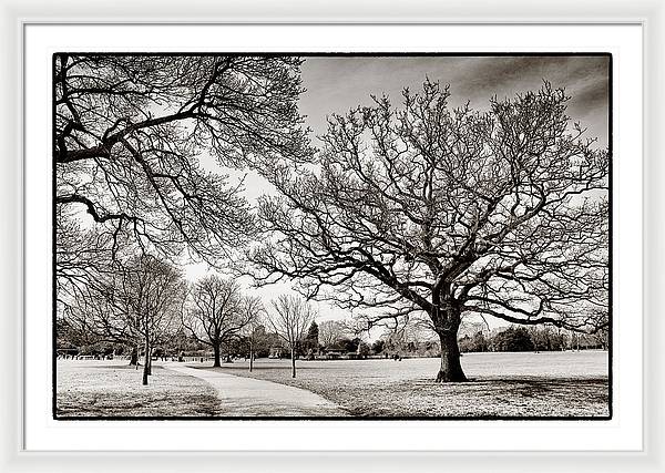 Dulwich Park - Framed Print