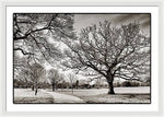 Load image into Gallery viewer, Dulwich Park - Framed Print
