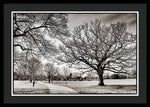 Load image into Gallery viewer, Dulwich Park - Framed Print
