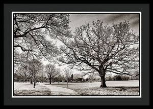 Dulwich Park - Framed Print