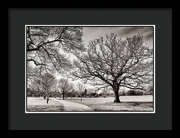 Dulwich Park - Framed Print