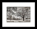 Load image into Gallery viewer, Dulwich Park - Framed Print
