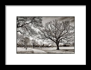 Dulwich Park - Framed Print