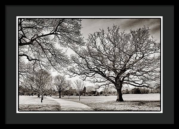 Dulwich Park - Framed Print