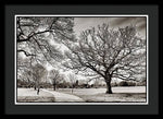 Load image into Gallery viewer, Dulwich Park - Framed Print
