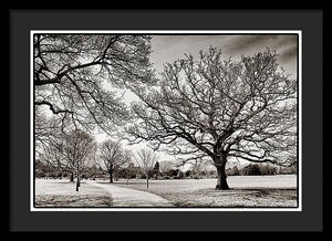 Dulwich Park - Framed Print