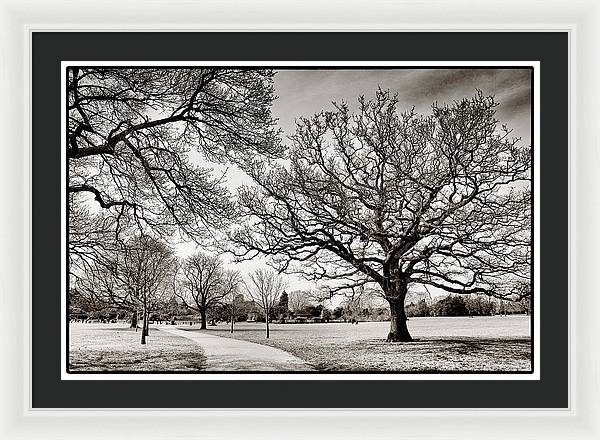 Dulwich Park - Framed Print