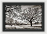 Load image into Gallery viewer, Dulwich Park - Framed Print
