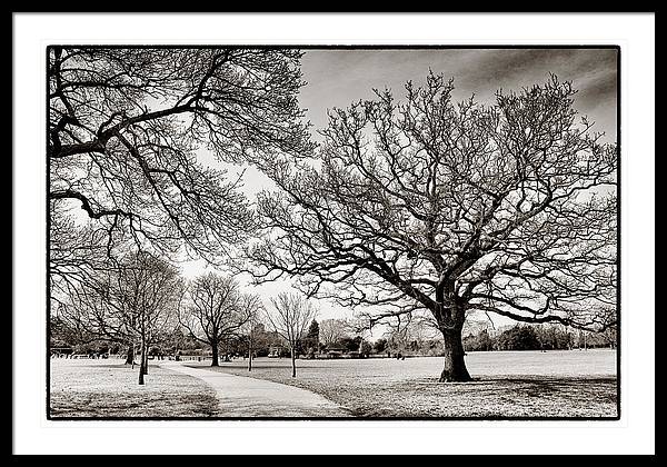 Dulwich Park - Framed Print