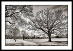 Load image into Gallery viewer, Dulwich Park - Framed Print
