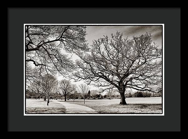 Dulwich Park - Framed Print