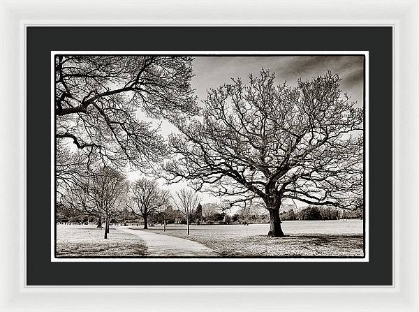 Dulwich Park - Framed Print