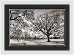 Load image into Gallery viewer, Dulwich Park - Framed Print
