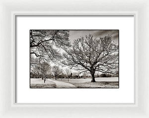 Dulwich Park - Framed Print