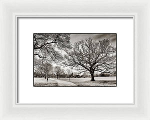 Dulwich Park - Framed Print