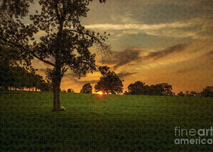 Evening Sun over Brockwell Park - Puzzle